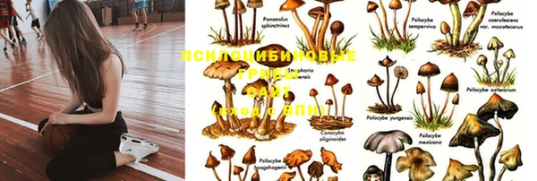 прущая мука Алексин